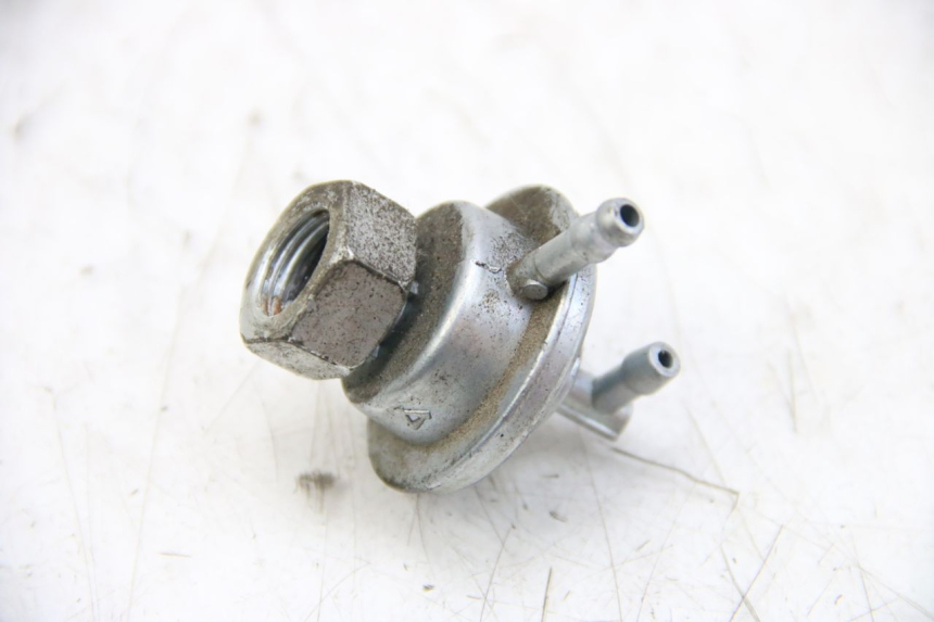 photo de DEPRESIÓN DEPÓSITO IMF INDUSTRIE PACH 4T 50 (2009 - 2018) - Detalle de la pieza