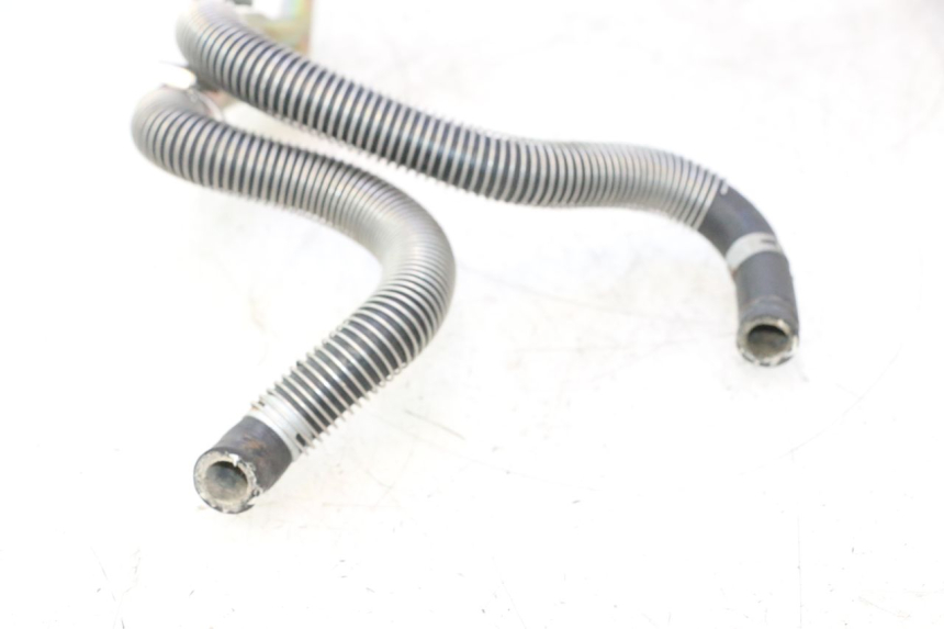 photo de MANGUERA RADIADOR HONDA SH 125 (2001 - 2003) - Recambio usado revisado