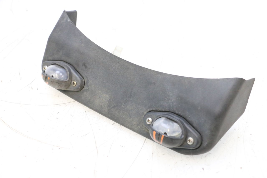 photo de LUZ MATRICULA PIAGGIO MP3 RL 250 (2006 - 2010) - Vista principal