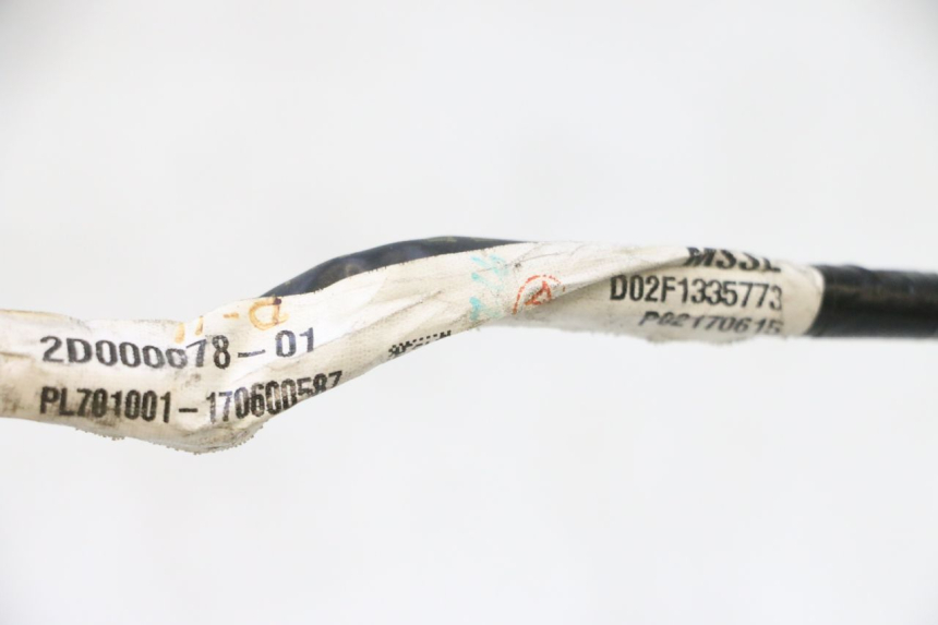 photo de LUZ MATRICULA PIAGGIO MP3 500 (2016 - 2018) - Marcados y referencias originales