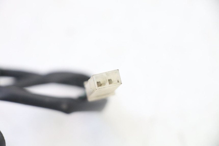 photo de LUZ MATRICULA PEUGEOT SATELIS 250 (2006 - 2012) - Primer plano técnico