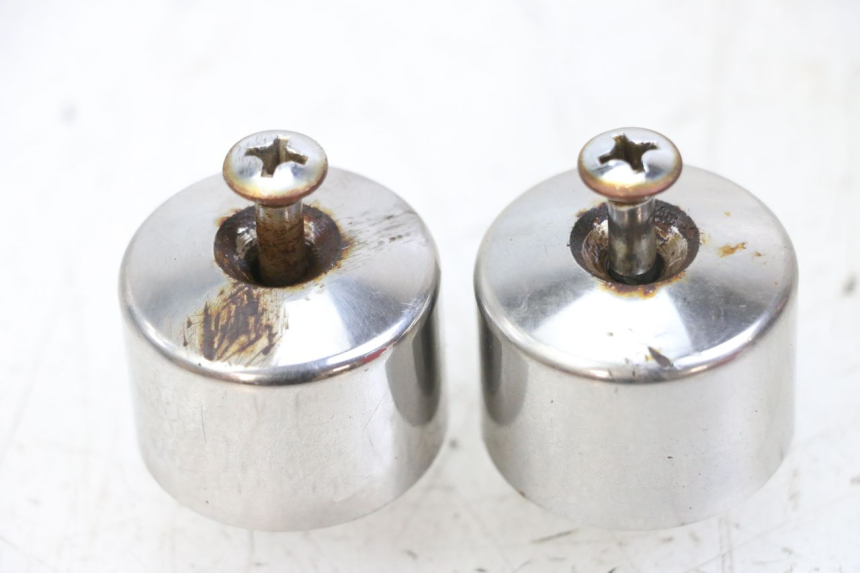 photo de EXTREMOS MANILLAR HONDA FES S-WING SWING 125 (2007 - 2015) - Vista principal