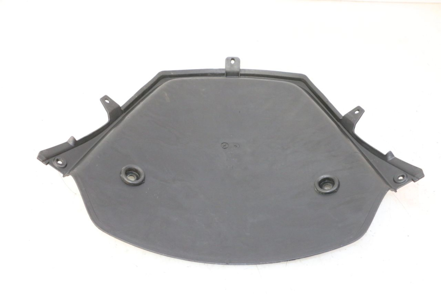 photo de CARA DELANTERA INTERIOR PIAGGIO MP3 RL 250 (2006 - 2010) - Zoom estado de uso