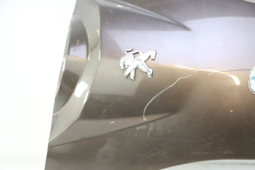 photo de FRENTE. PEUGEOT KISBEE 4T 50 (2010 - 2017) - Inspección visual detallada