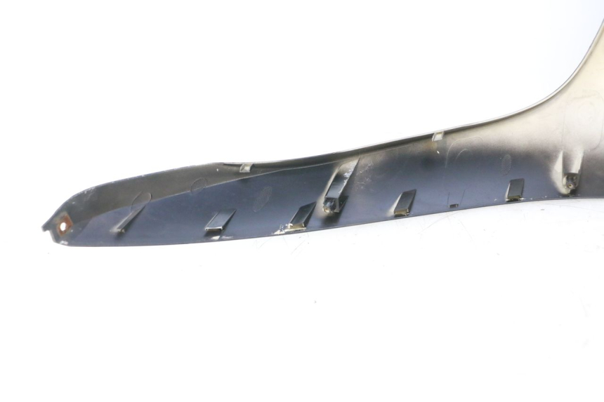 photo de CARENADO FRONTAL BAIKU SAKURA 1 (2021 - 2025) - Primer plano técnico