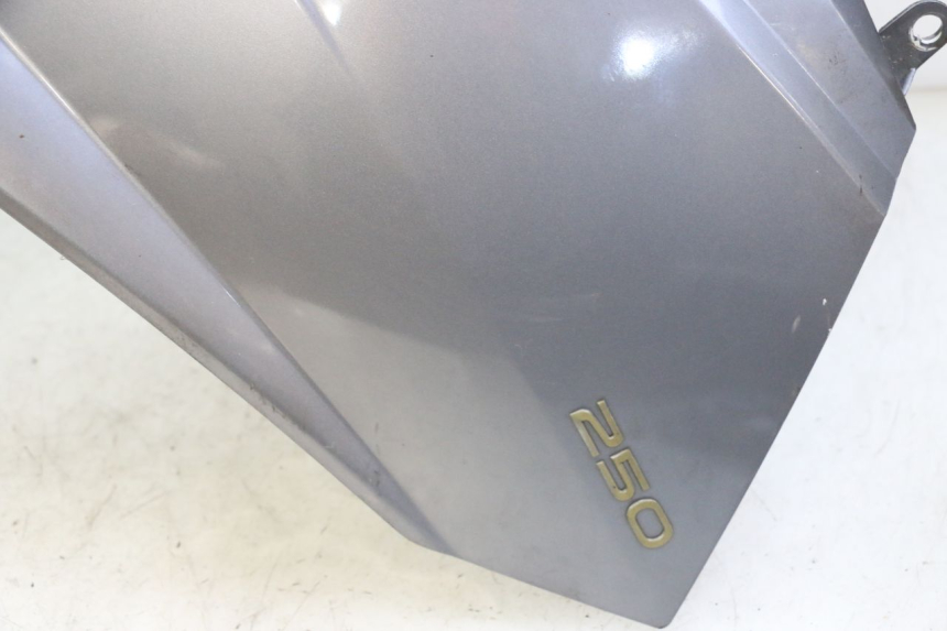 photo de CARENADO FRONTAL PEUGEOT SATELIS 250 (2006 - 2012) - Recambio usado revisado