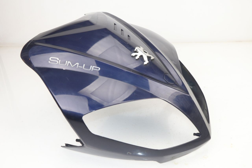 photo de CARENADO FRONTAL PEUGEOT SUM UP 125 (2008 - 2013) - Enfoque en la estructura