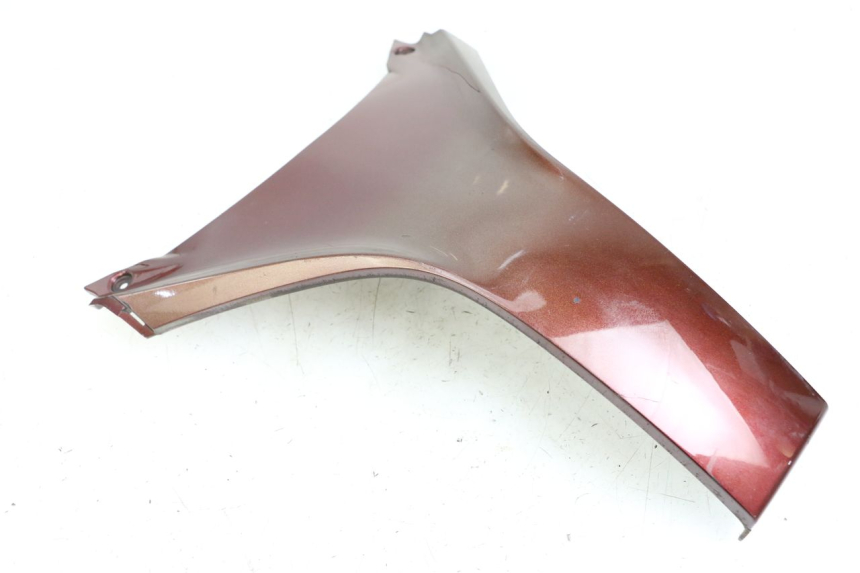 photo de CARENADO FRONTAL SUPERIOR HONDA FES S-WING SWING ABS 125 (2007 - 2015) - Vista principal