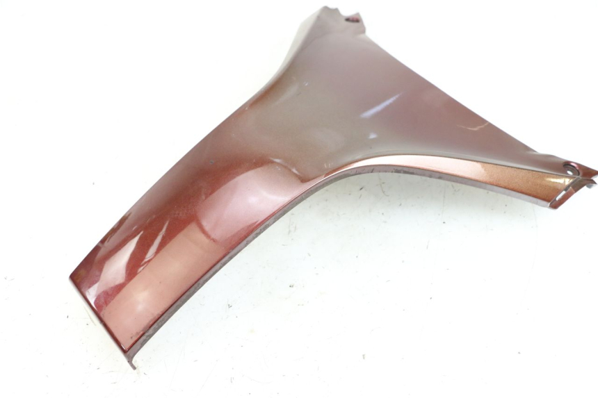 photo de CARENADO FRONTAL SUPERIOR HONDA FES S-WING SWING ABS 125 (2007 - 2015) - Primer plano técnico