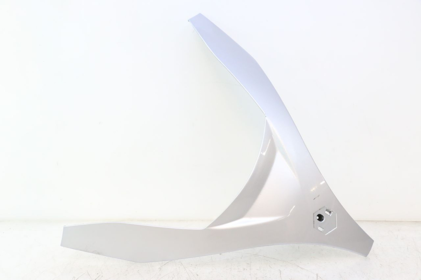 photo de FRENTE SUPERIOR PIAGGIO MP3 125 (2006 - 2014) - Vista principal