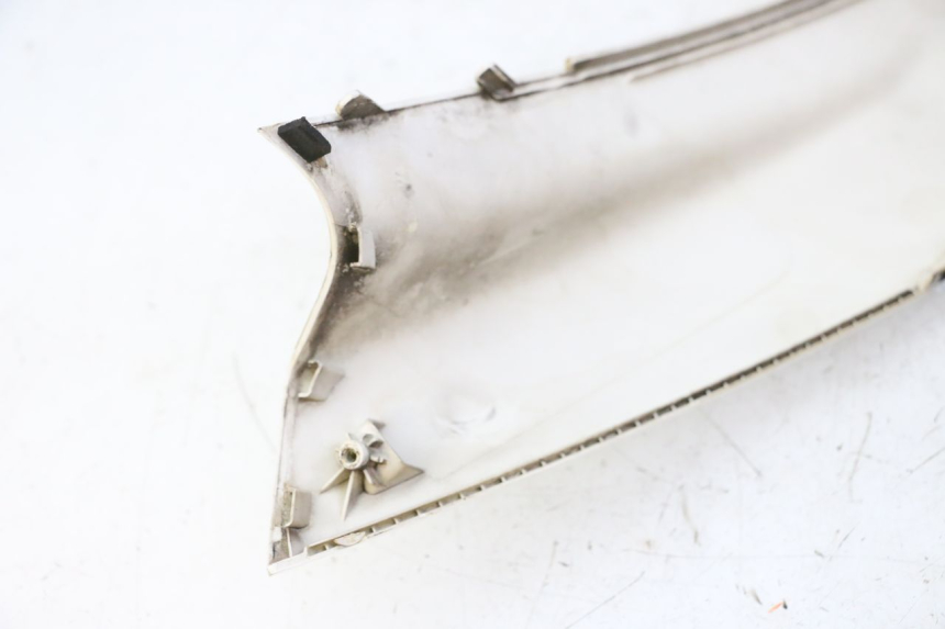 photo de FRENTE SUPERIOR PEUGEOT SATELIS 125 (2010 - 2012) - Primer plano técnico