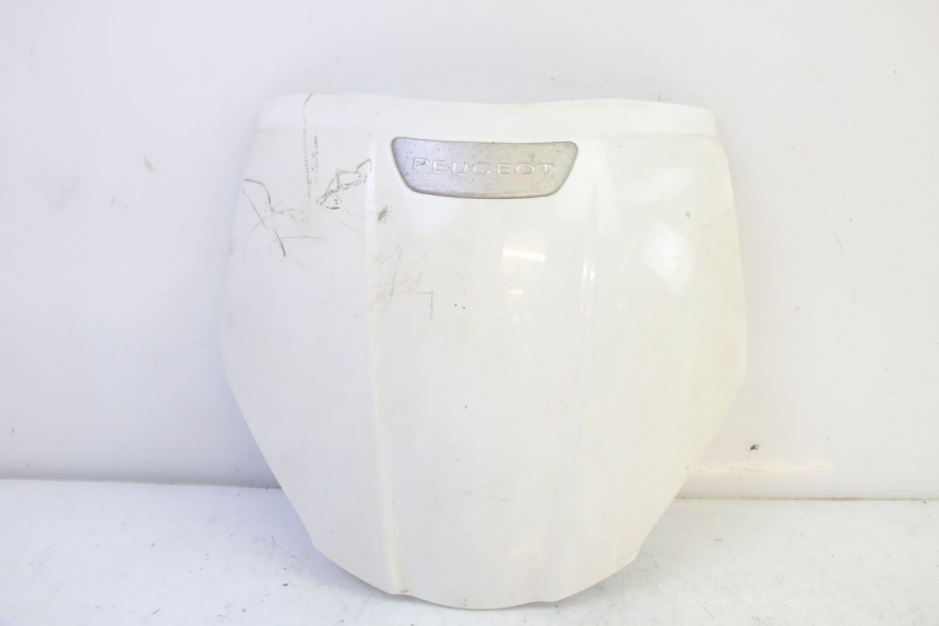 photo de CARENADO FRONTAL SUPERIOR PEUGEOT TWEET PRO EFI 4T 50 (2021 - 2022) - Vista principal