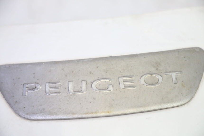 photo de CARENADO FRONTAL SUPERIOR PEUGEOT TWEET PRO EFI 4T 50 (2021 - 2022) - Otra perspectiva