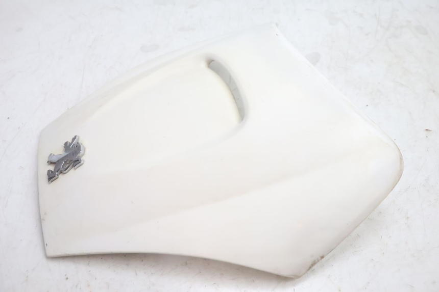 photo de CARENADO FRONTAL SUPERIOR PEUGEOT VIVACITY 100 (1999 - 2008) - Vista general del producto