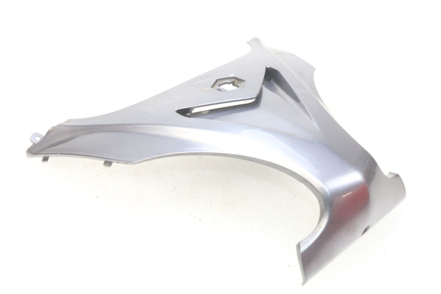 photo de FRENTE SUPERIOR PIAGGIO X9 EVOLUTION 125 (2003 - 2007) - Primer plano técnico