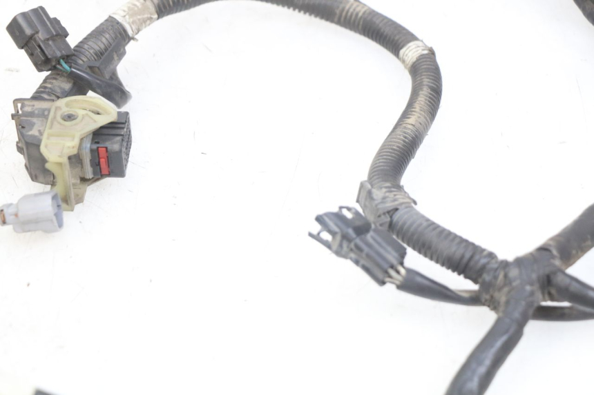 photo de CABLEADO KYMCO AGILITY 16+ 4T 50 (2018 - 2023) - Vista general del producto