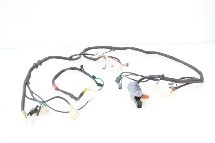 photo de CABLEADO KYMCO AGILITY PREMIUM 50 (2007 - 2010) - Vista principal