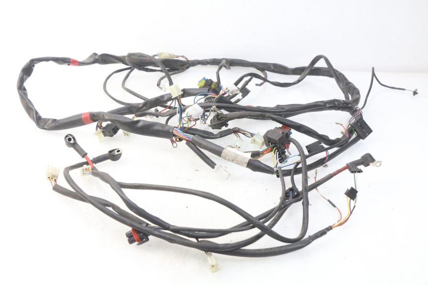 photo de CABLEADO APRILIA ATLANTIC 125 (2003 - 2009) - Vista principal