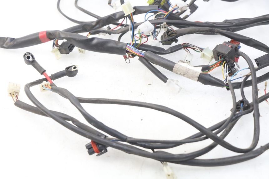 photo de CABLEADO APRILIA ATLANTIC 125 (2003 - 2009) - Vista general del producto
