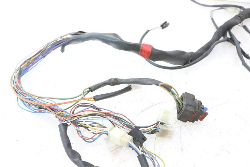 photo de CABLEADO APRILIA ATLANTIC S 125 (2010 - 2013) - Vista general del producto