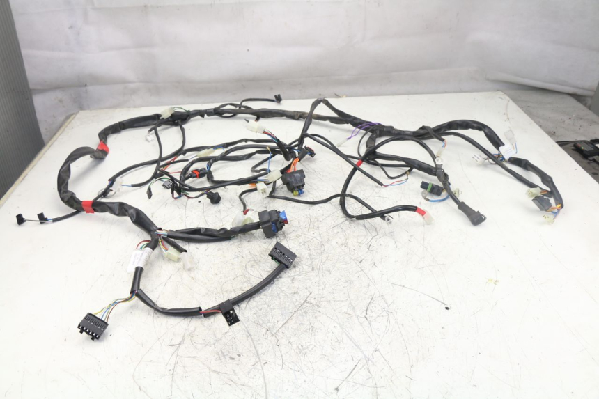 photo de CABLEADO APRILIA ATLANTIC S 125 (2010 - 2013) - Vista principal