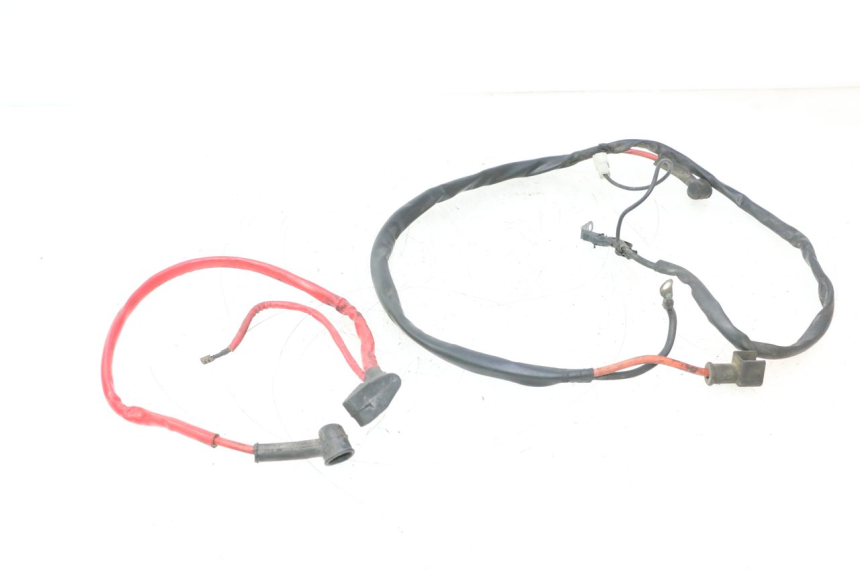 photo de CABLEADO DE LA BATERíA YAMAHA YP MAJESTY 125 (2002 - 2006) - Vista principal