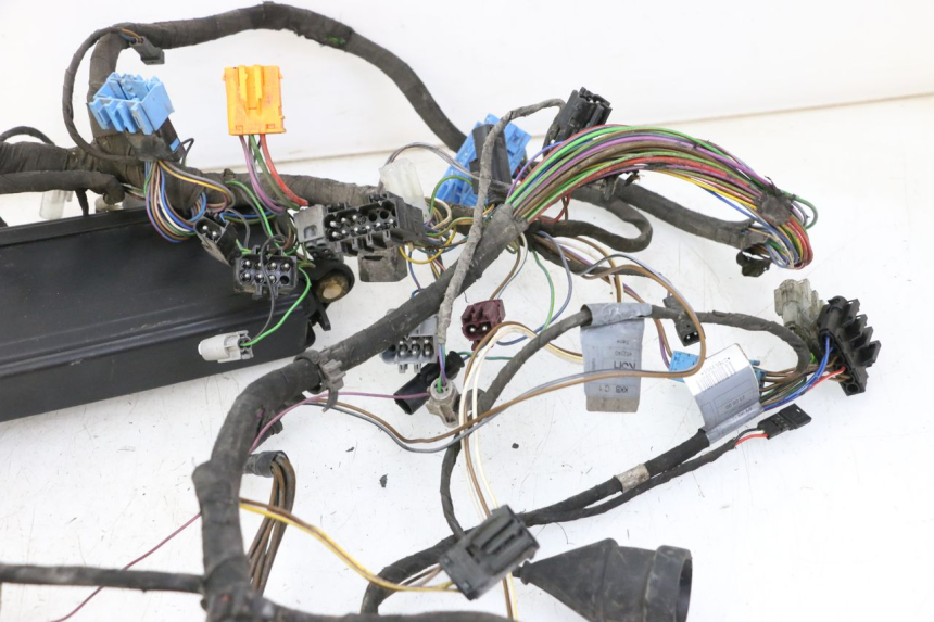 photo de CABLEADO BMW C1 125 (2000 - 2003) - Zoom sobre los componentes