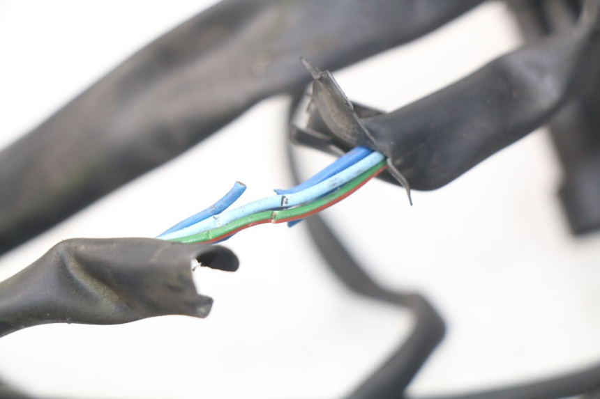 photo de CABLEADO MV AGUSTA BRUTALE R WALLY 910 (2008 - 2008) - Zoom sobre los componentes