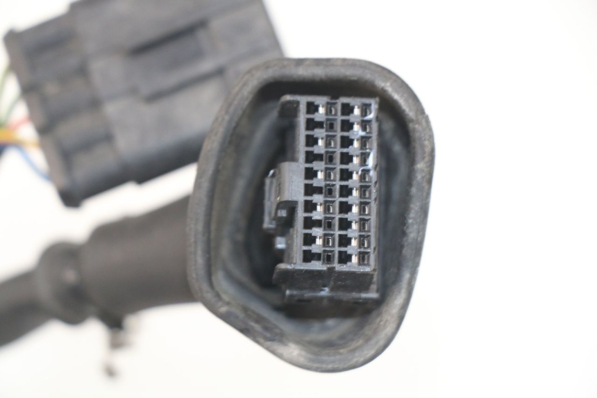 photo de CABLEADO MV AGUSTA BRUTALE R WALLY 910 (2008 - 2008) - Primer plano de alta resolución