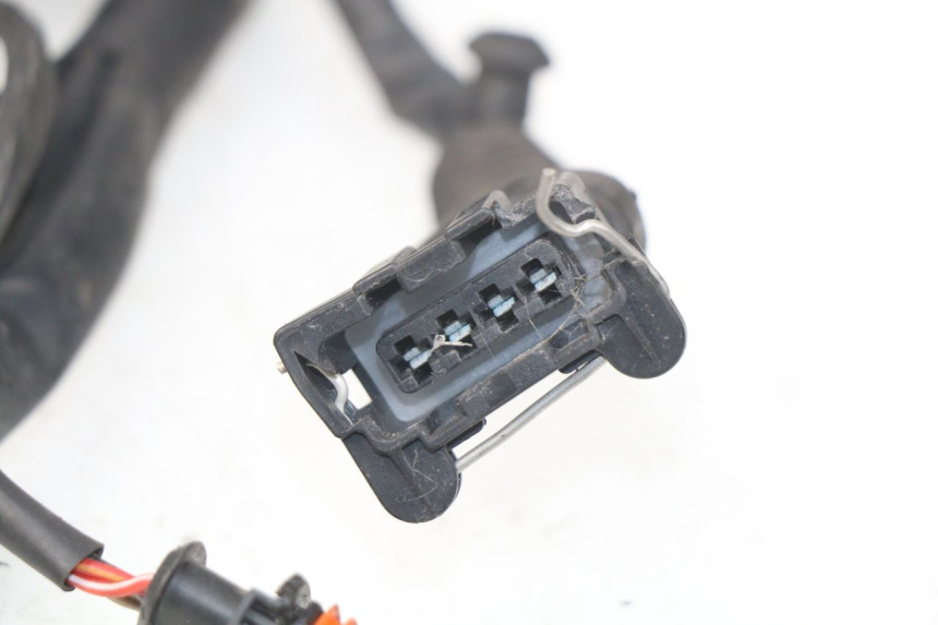 photo de CABLEADO MV AGUSTA BRUTALE R WALLY 910 (2008 - 2008) - Foto de producto adicional
