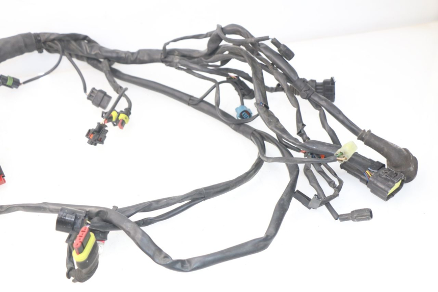photo de CABLEADO MV AGUSTA BRUTALE R WALLY 910 (2008 - 2008) - Enfoque en la estructura