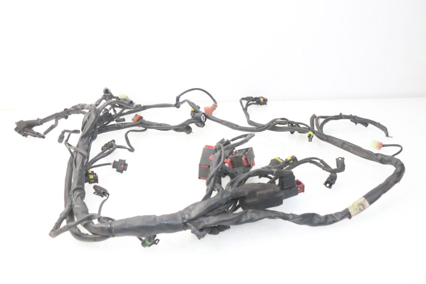 photo de CABLEADO MV AGUSTA BRUTALE R WALLY 910 (2008 - 2008) - Primer plano técnico