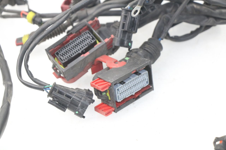 photo de CABLEADO MV AGUSTA BRUTALE R WALLY 910 (2008 - 2008) - Detalles de los puntos de fijación