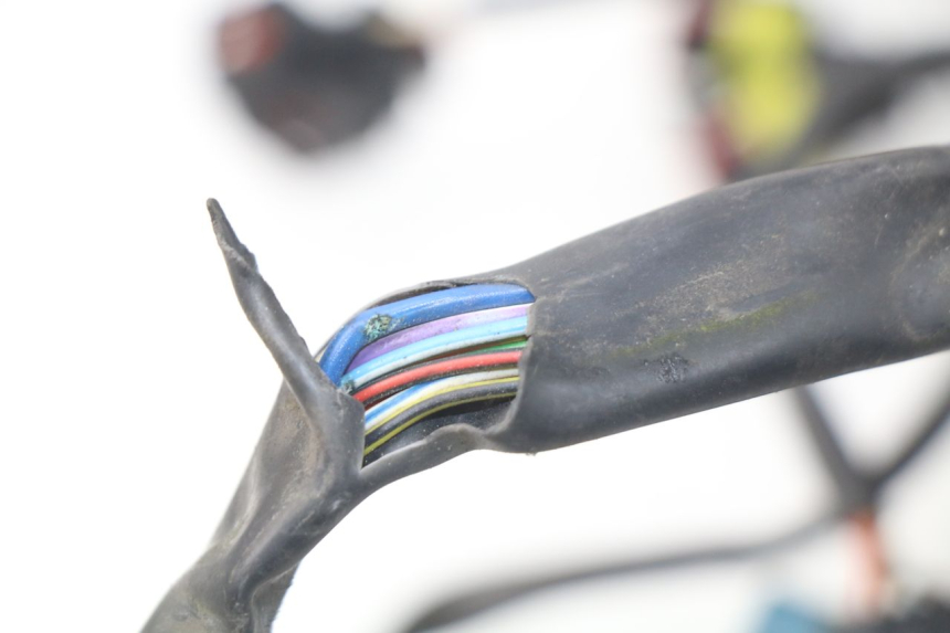 photo de CABLEADO MV AGUSTA BRUTALE R WALLY 910 (2008 - 2008) - Recambio usado revisado