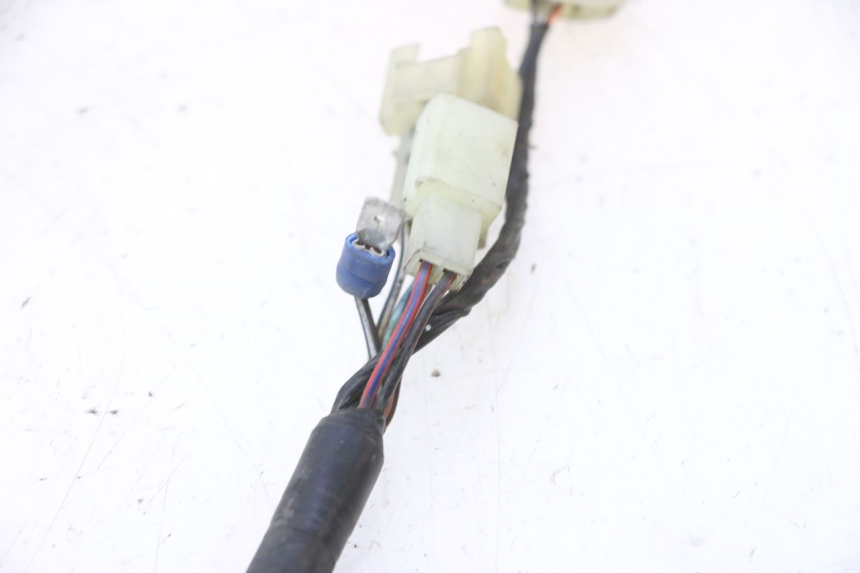 photo de CABLEADO SUZUKI BURGMAN 125 (2007 - 2014) - Zoom estado de uso