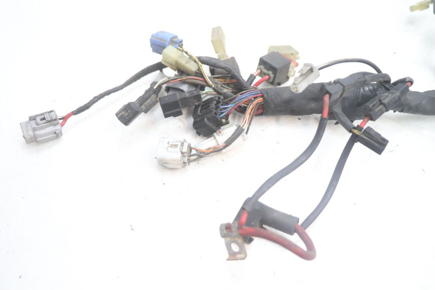 photo de CABLEADO SUZUKI BURGMAN EXECUTIVE ABS 650 (2006 - 2012) - Detalle de la pieza