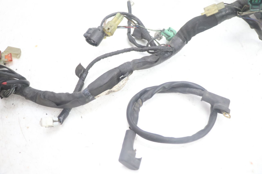 photo de CABLEADO SUZUKI BURGMAN EXECUTIVE ABS 650 (2006 - 2012) - Zoom estado de uso