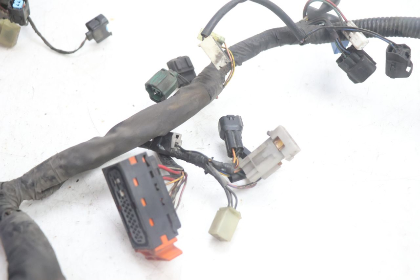 photo de CABLEADO SUZUKI BURGMAN EXECUTIVE ABS 650 (2006 - 2012) - Vista general del producto
