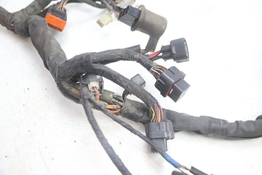 photo de CABLEADO SUZUKI BURGMAN EXECUTIVE ABS 650 (2006 - 2012) - Estado de la superficie y material