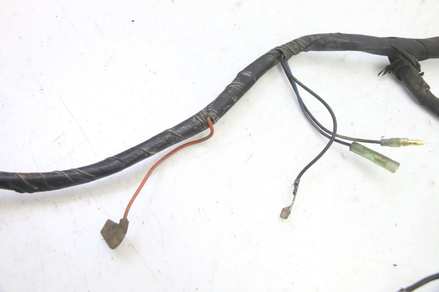 photo de CABLEADO YAMAHA BW'S 100 (1999 - 2002) - Otra perspectiva