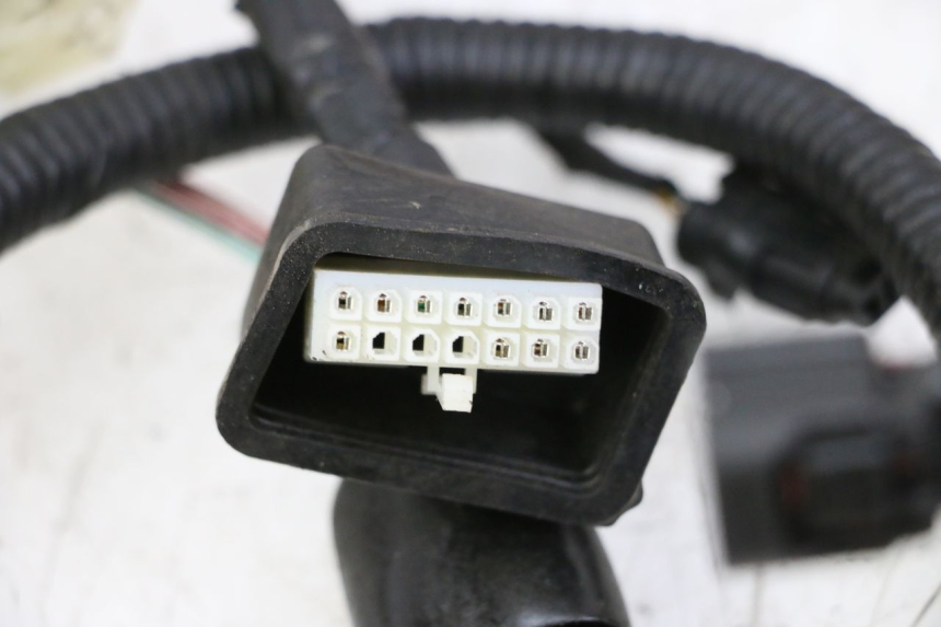 photo de CABLEADO ORCAL CAVARO 4T 50 (2019 - 2023) - Zoom estado de uso