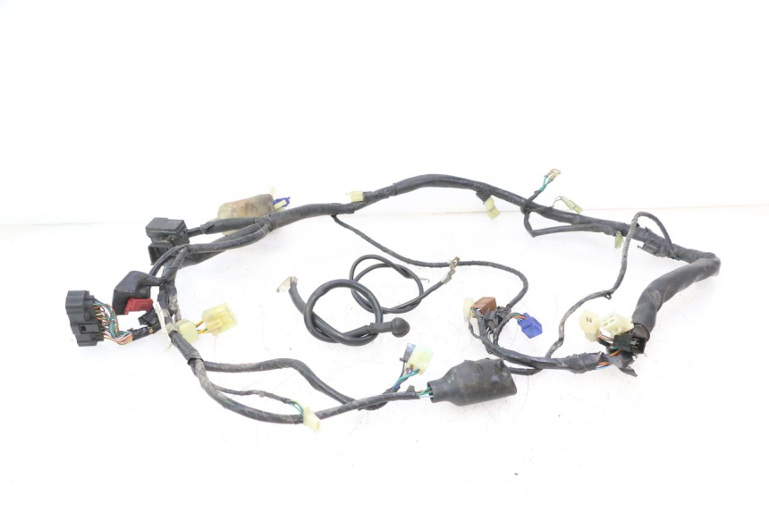photo de CABLEADO HONDA CB F HORNET 600 (2005 - 2006) - Vista principal