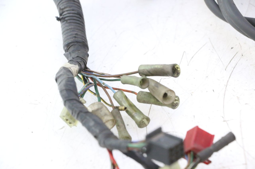 photo de CABLEADO HONDA CB TWO FIFTY 250 (1991 - 2002) - Zoom estado de uso
