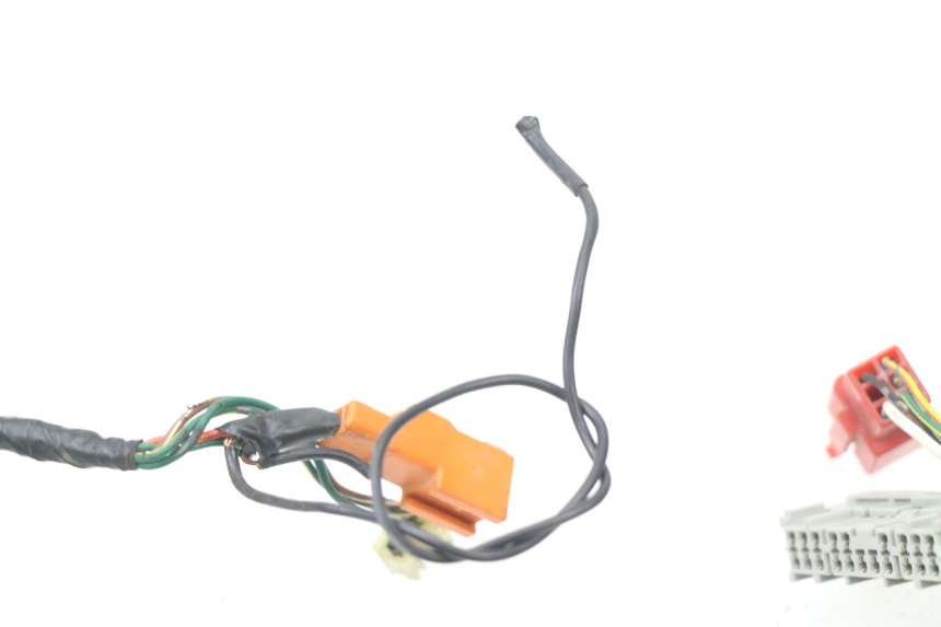 photo de CABLEADO HONDA CBR 929 RR FIREBLADE 900 (2000 - 2001) - Características distintivas