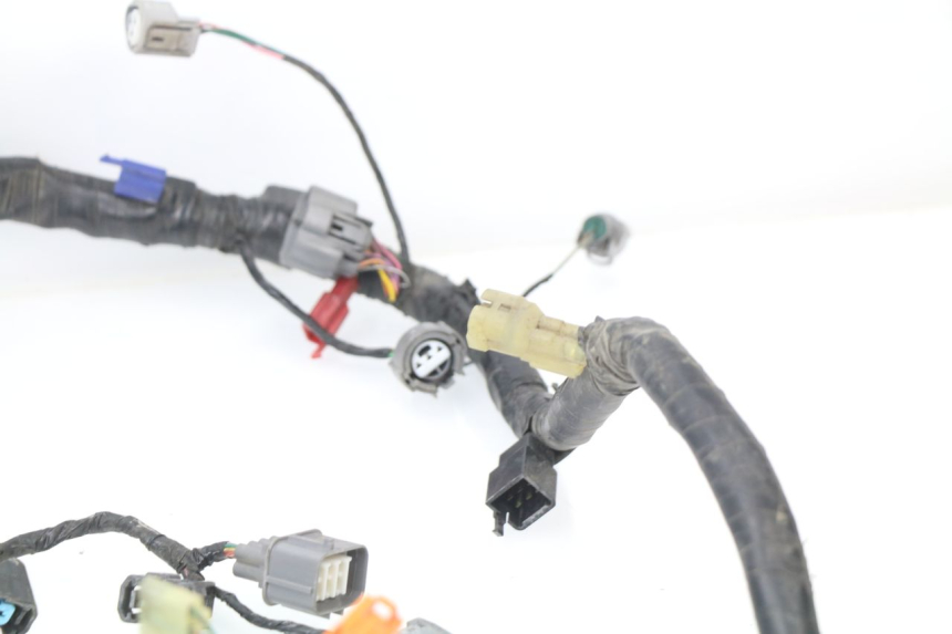 photo de CABLEADO HONDA CBR 929 RR FIREBLADE 900 (2000 - 2001) - Enfoque en la estructura