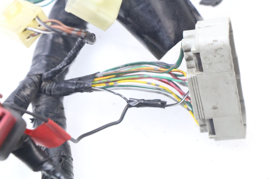 photo de CABLEADO HONDA CBR 929 RR FIREBLADE 900 (2000 - 2001) - Recambio usado revisado