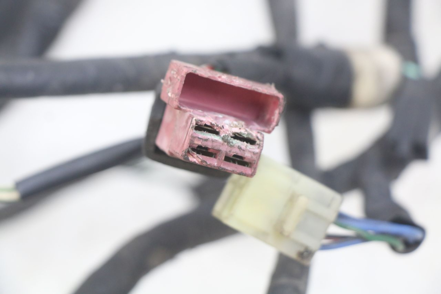 photo de CABLEADO HONDA CBR F SC25 1000 (1989 - 1992) - Detalle de la pieza
