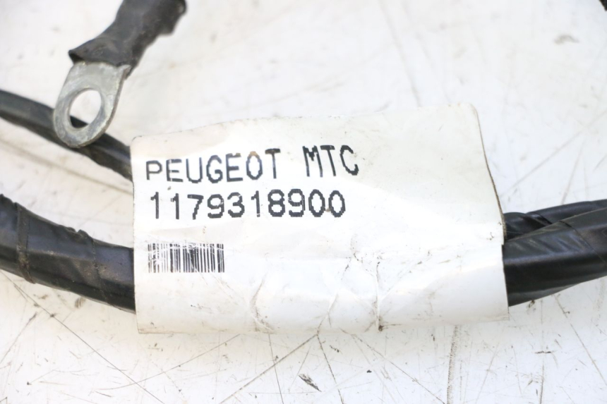 photo de CABLEADO PEUGEOT CITYSTAR 2T 50 (2018 - 2021) - Otra perspectiva