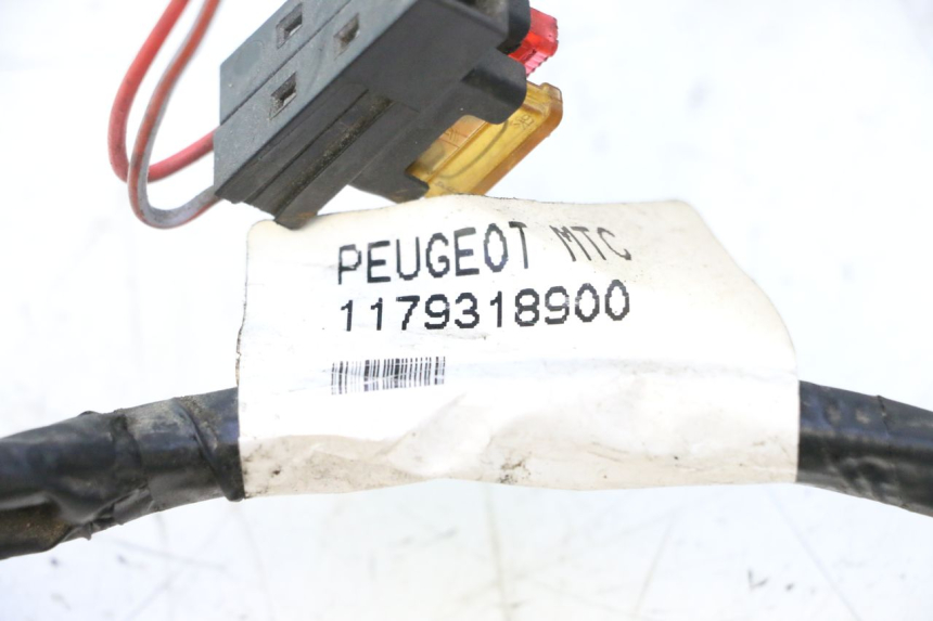photo de CABLEADO PEUGEOT CITYSTAR 2T 50 (2018 - 2021) - Estado de la superficie y material