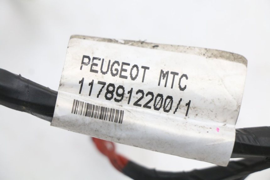 photo de CABLEADO PEUGEOT CITYSTAR 50 (2013 - 2017) - Detalle de la pieza